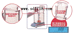 �B�Ƹ����M����ƽ,51g,0.001g