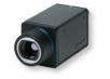 �t�����x